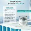 O'Rea Derma Recovery Day Cream